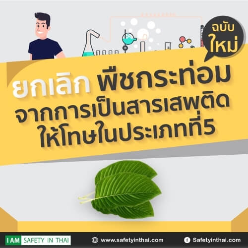 พลังใบ